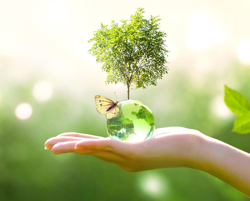 Frau hält in ihrer Hand eine grüne Weltkugel mit Baum und Schmetterling.