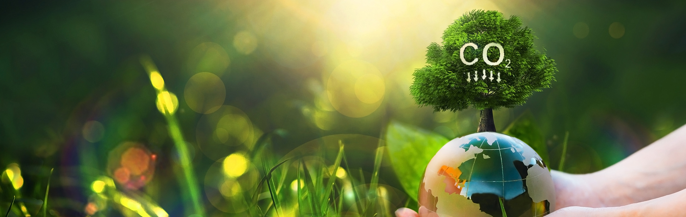 Fotomontage Hände halten Weltkugel auf der ein Baum wächst mit der Beschriftung CO2 und Pfeilen nach unten