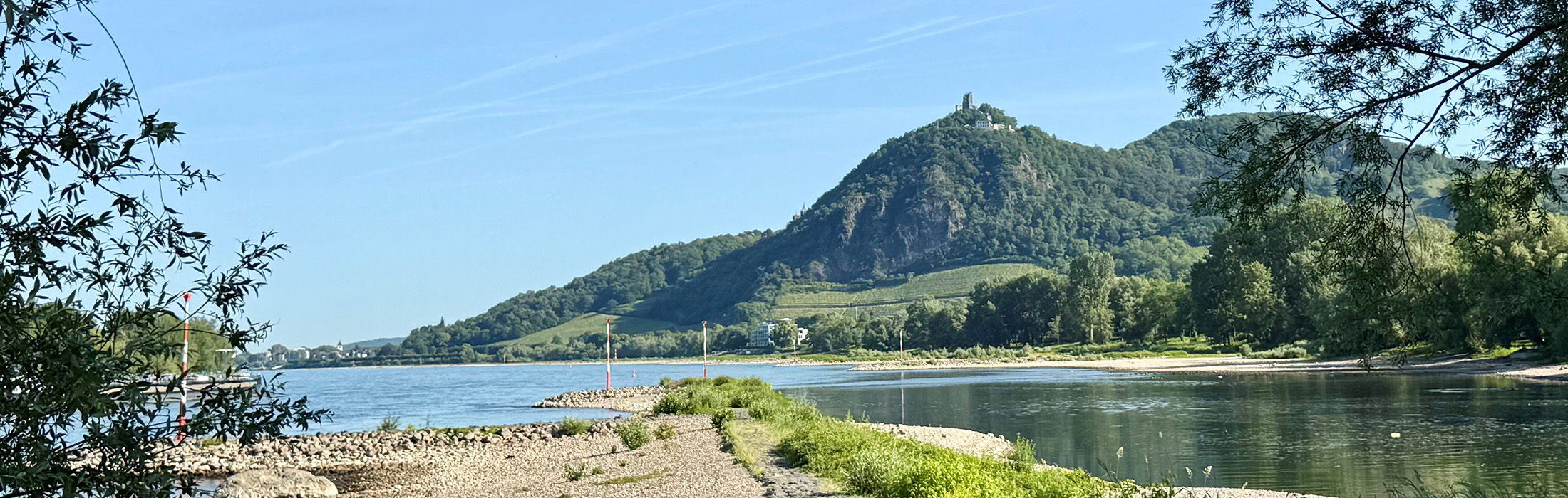Drachenfels von der Insel Grafenwerth aus fotografiert