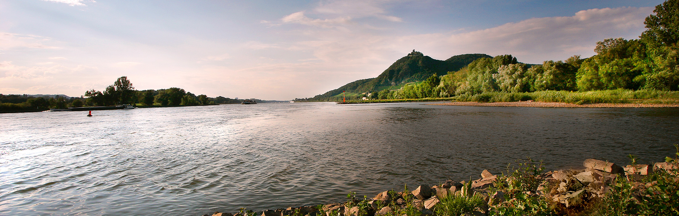 Rhein mit Drachenfels im Hintergrund